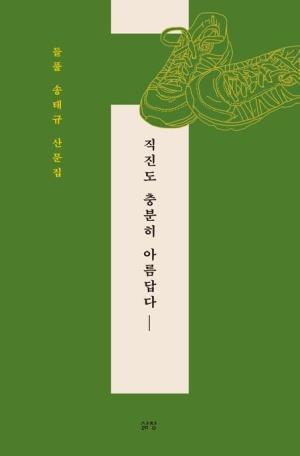 [전북일보 신춘문예 작가들이 추천하는 이 책] 이진숙 수필가-송태규 '직진도 충분히 아름답다'