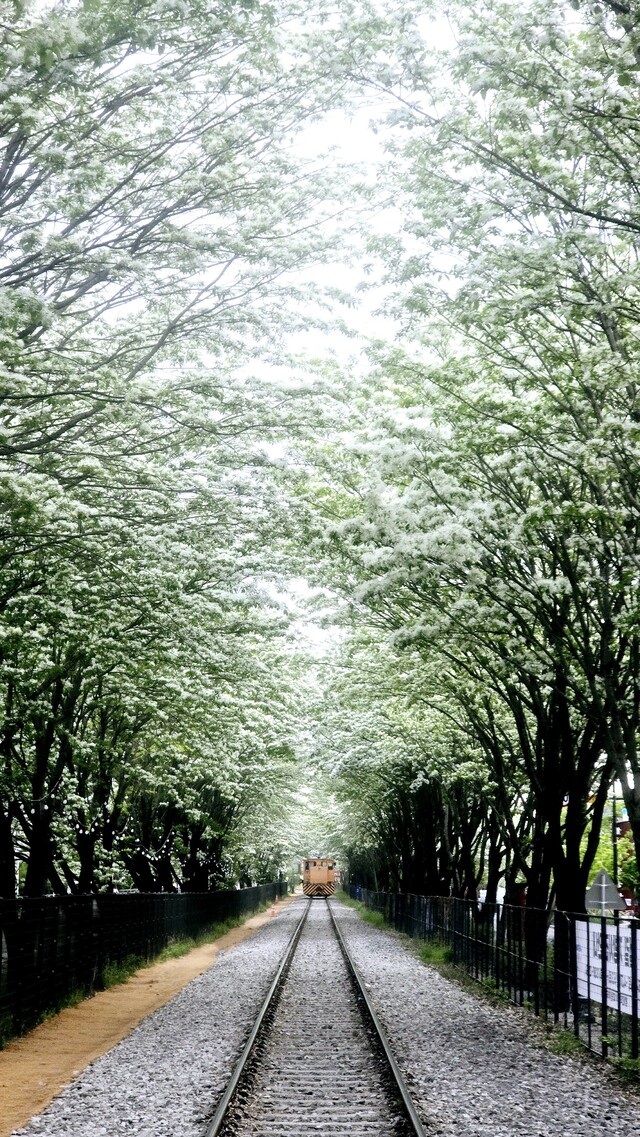 [안성덕 시인의 '풍경']밥