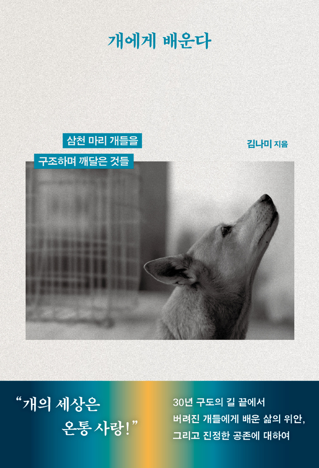 삼천 마리 개들을 구조하며 깨달은 것들...김나미 '개에게 배운다'