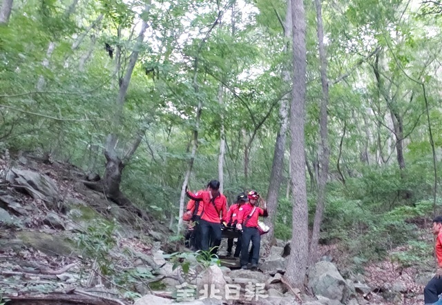 진안서 등산 중이던 50대 쓰러져 숨져⋯온열질환 사망 추정