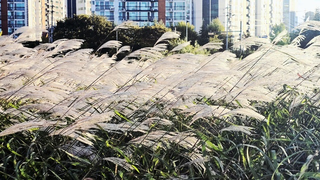 [안성덕 시인의 '풍경'] 가을의 속도