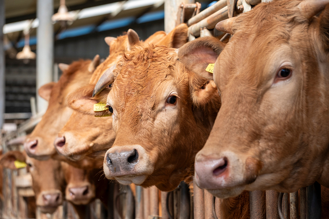 Second alt text